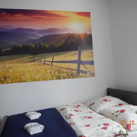 Apartament Providentia Zakopane Witkiewicza 3 Екстер'єр фото