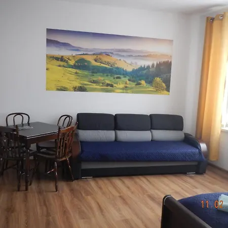 Apartament Providentia Zakopane Witkiewicza 3 Екстер'єр фото
