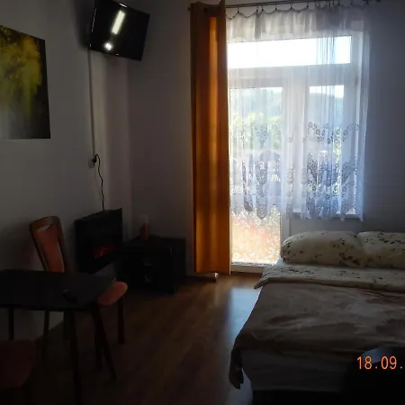 Apartament Providentia Zakopane Witkiewicza 3 Екстер'єр фото