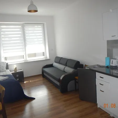 Apartament Providentia Zakopane Witkiewicza 3 Екстер'єр фото