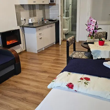 Apartament Providentia Zakopane Witkiewicza 3 Екстер'єр фото