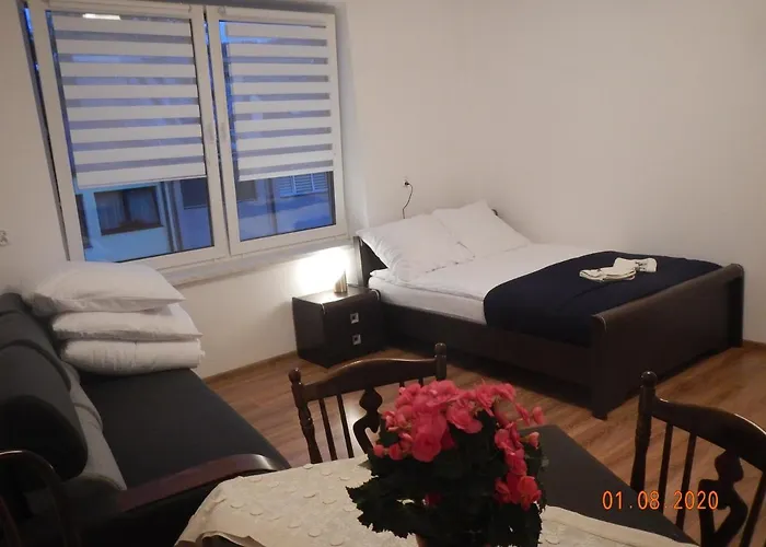 Apartament Providentia Zakopane Witkiewicza 3