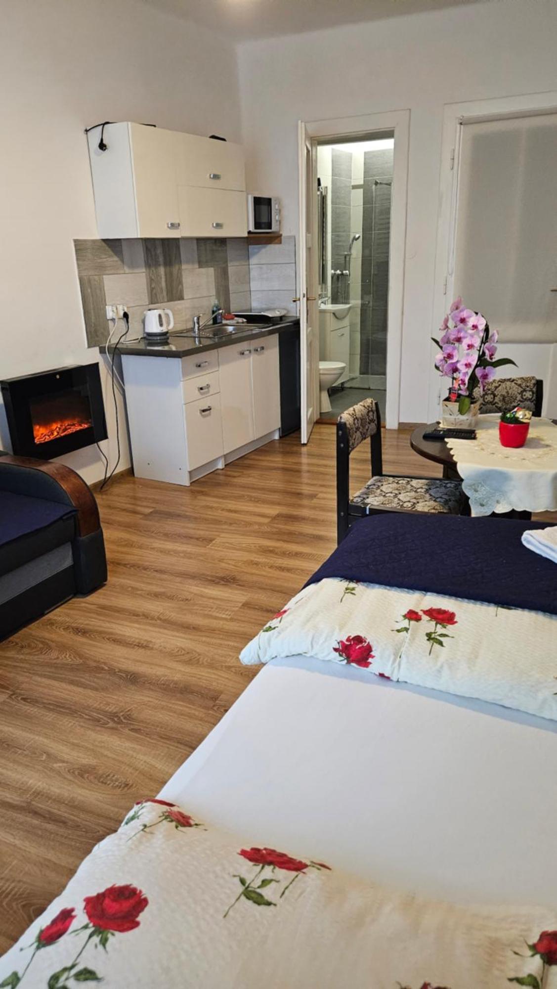 Apartment Providentia Witkiewicza 3 *